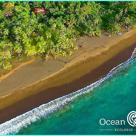 Ocean Forest Ecolodge San Pedrillo 외부 사진