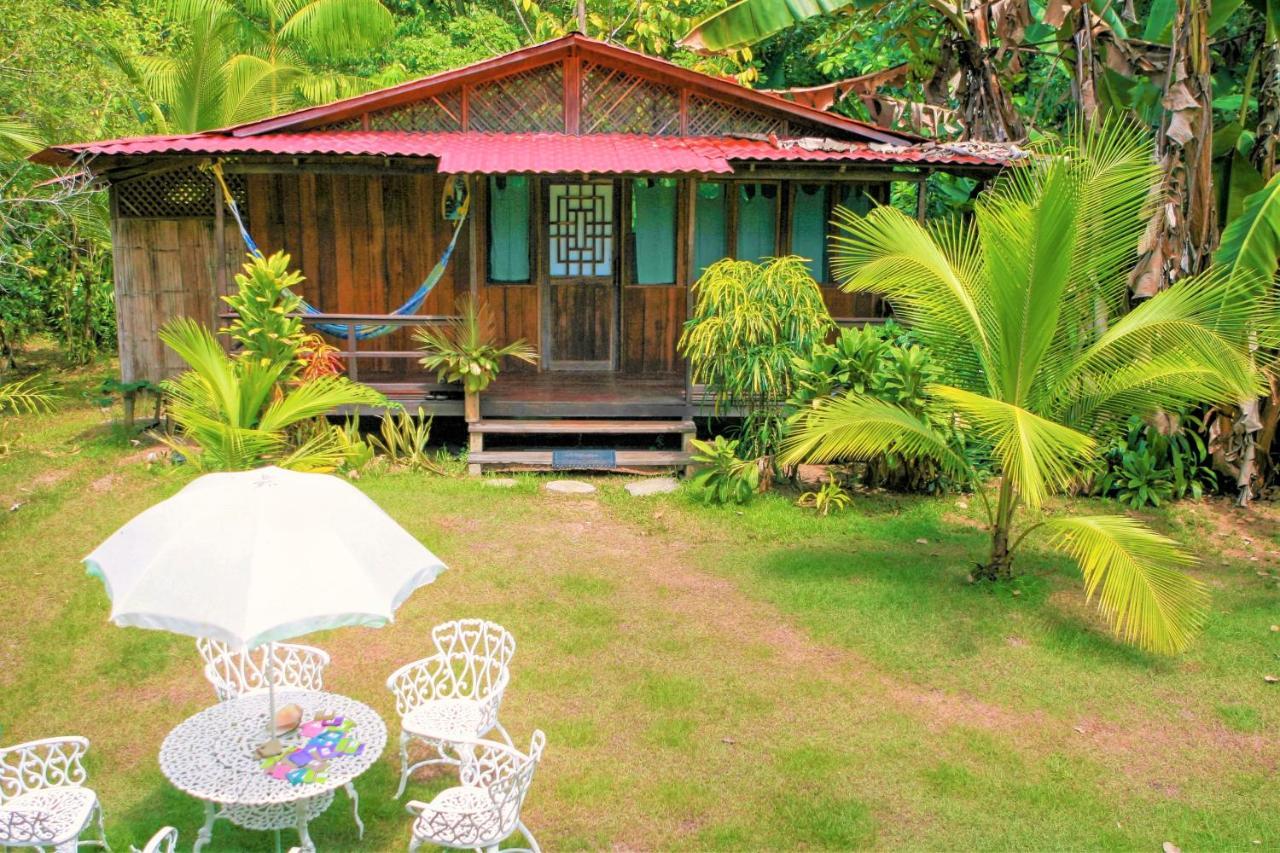 Ocean Forest Ecolodge San Pedrillo 외부 사진