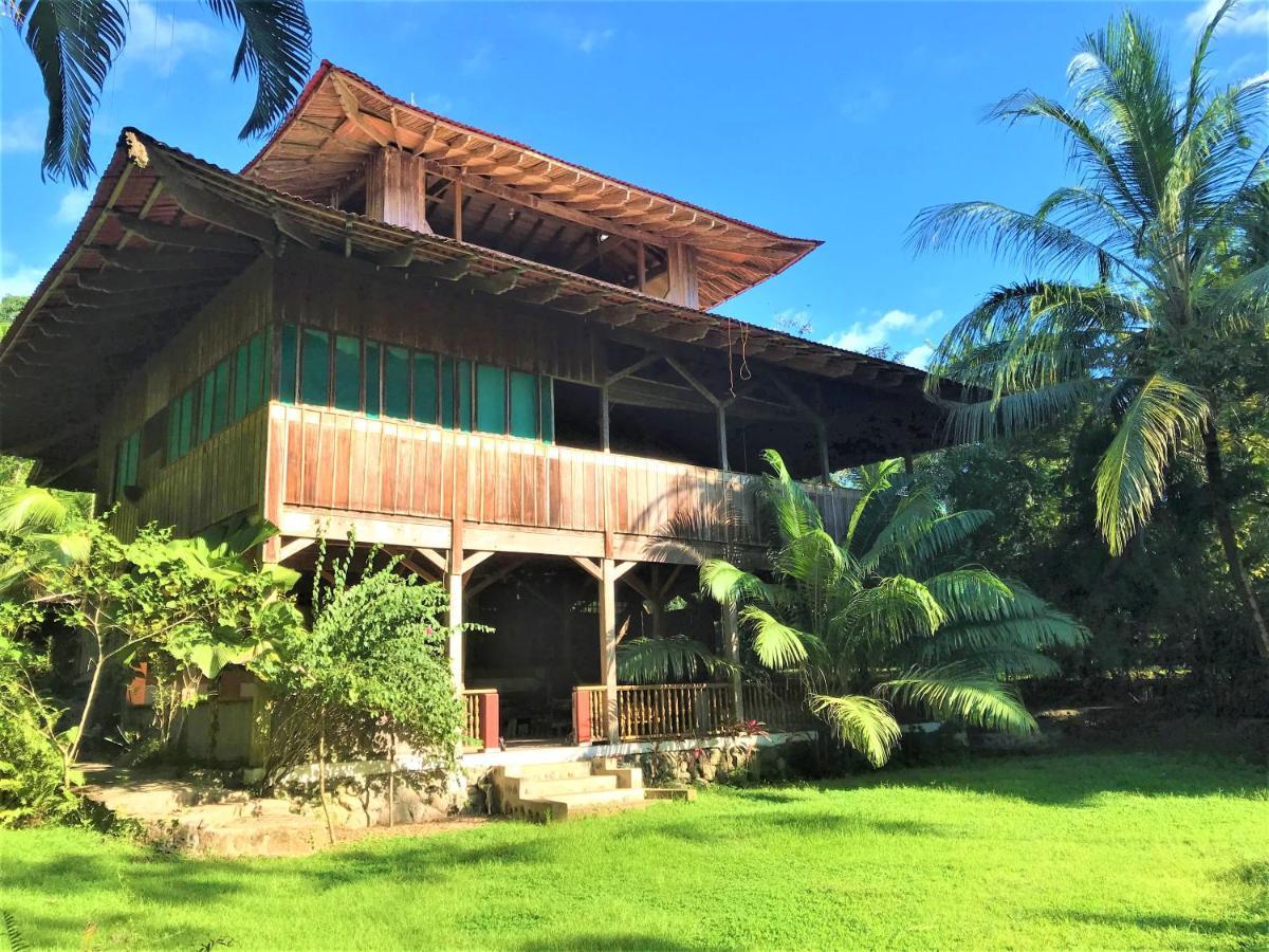 Ocean Forest Ecolodge San Pedrillo 외부 사진