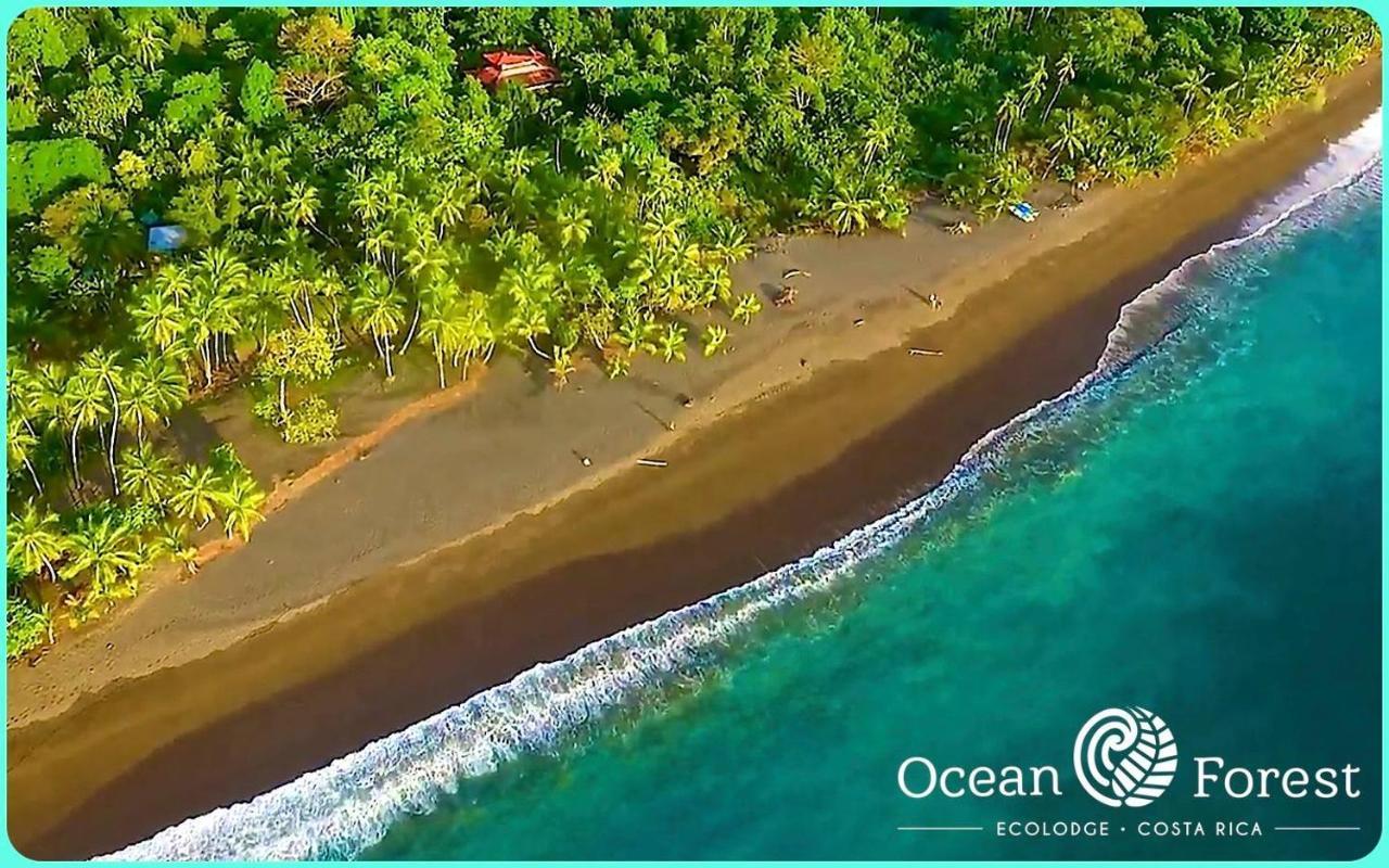 Ocean Forest Ecolodge San Pedrillo 외부 사진