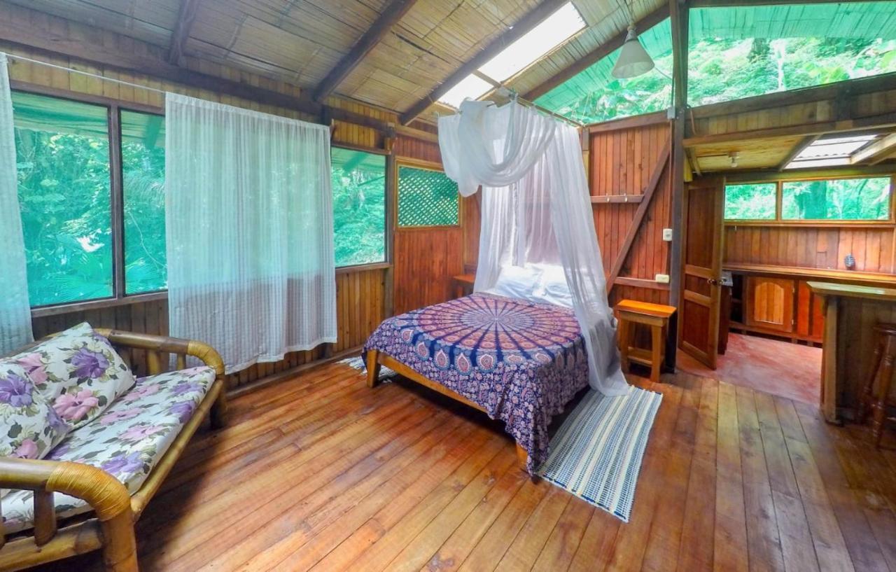 Ocean Forest Ecolodge San Pedrillo 외부 사진