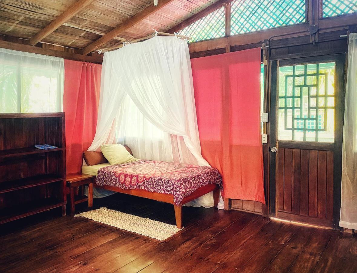 Ocean Forest Ecolodge San Pedrillo 외부 사진