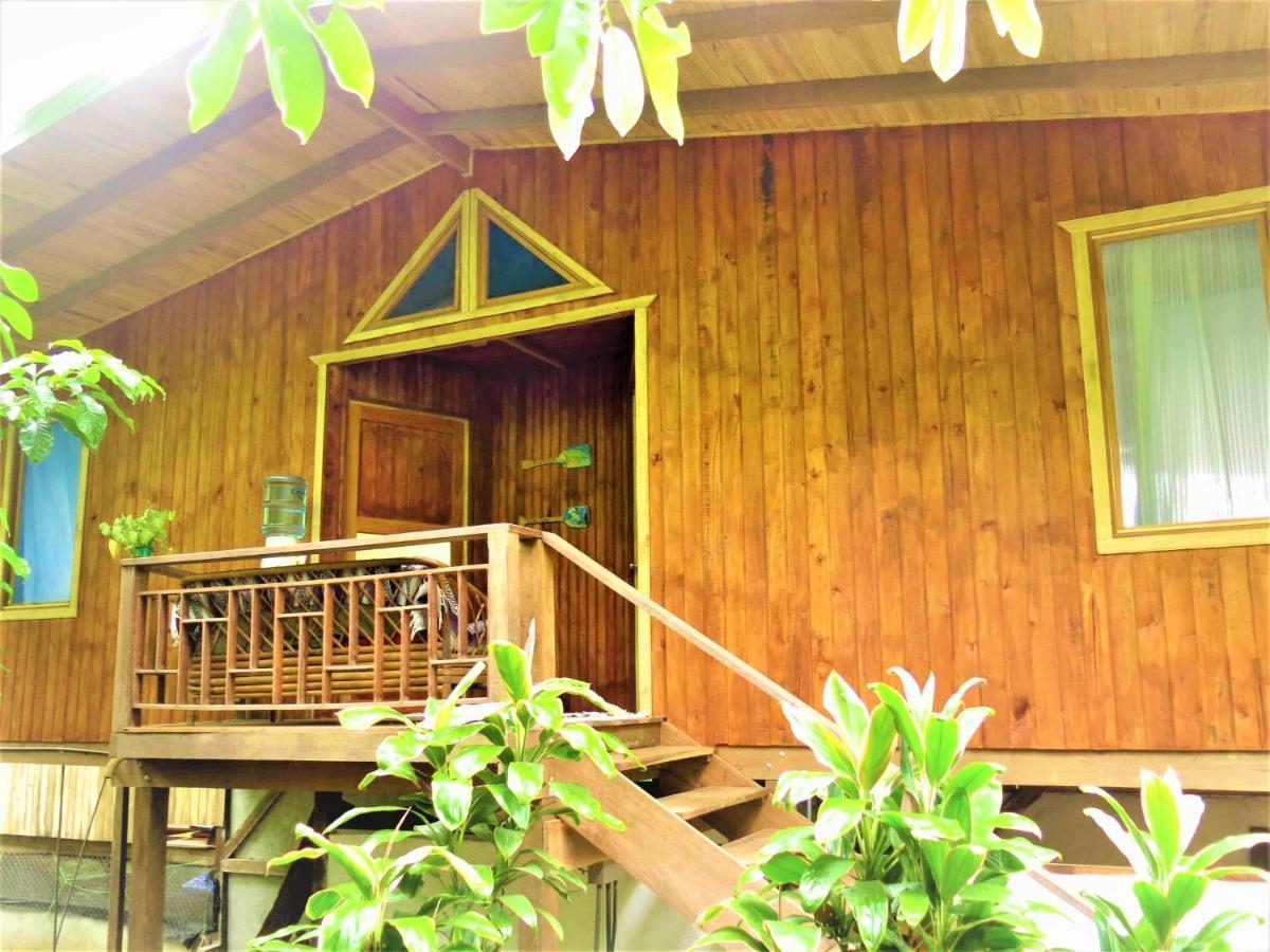 Ocean Forest Ecolodge San Pedrillo 외부 사진