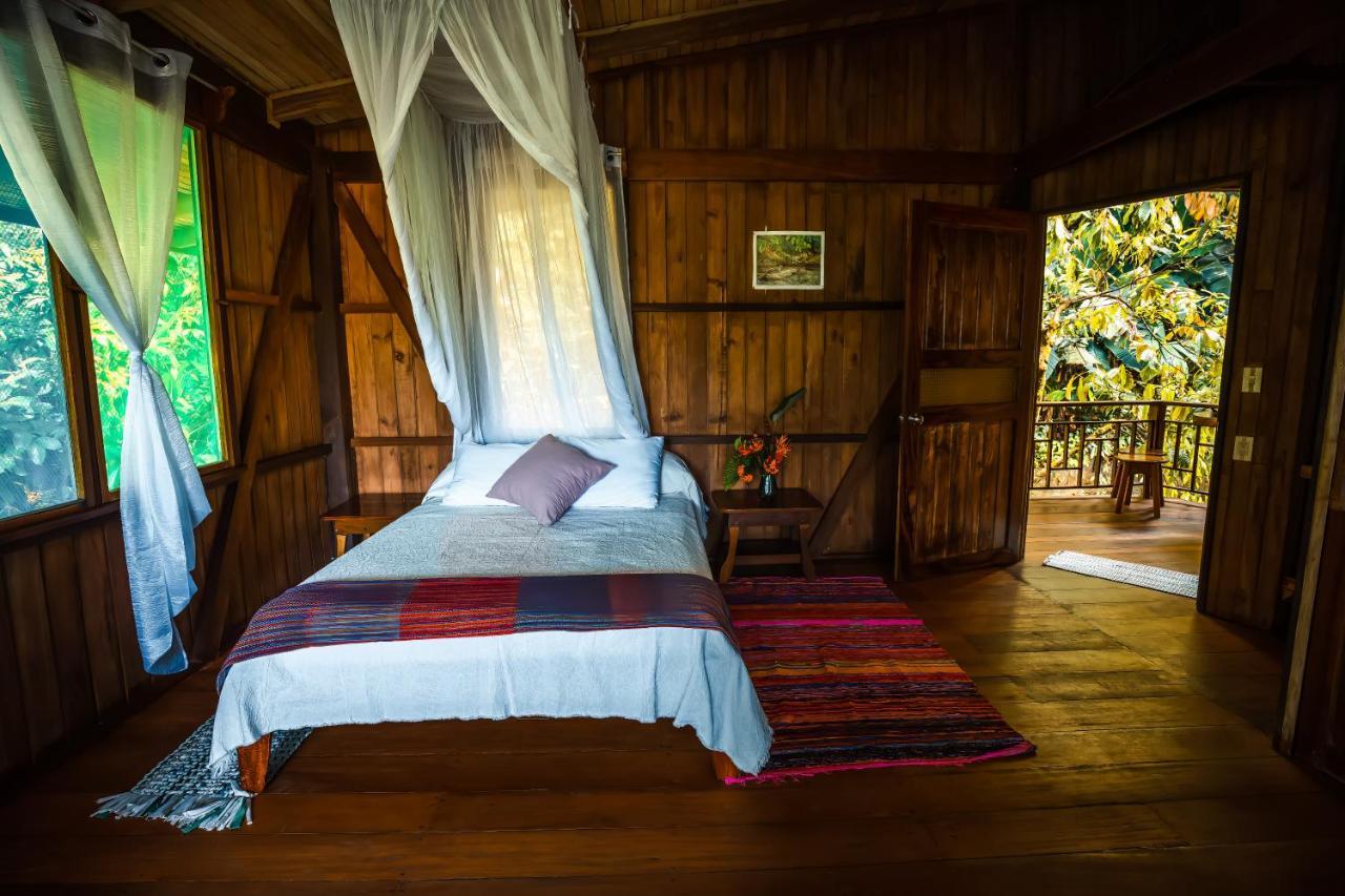 Ocean Forest Ecolodge San Pedrillo 외부 사진