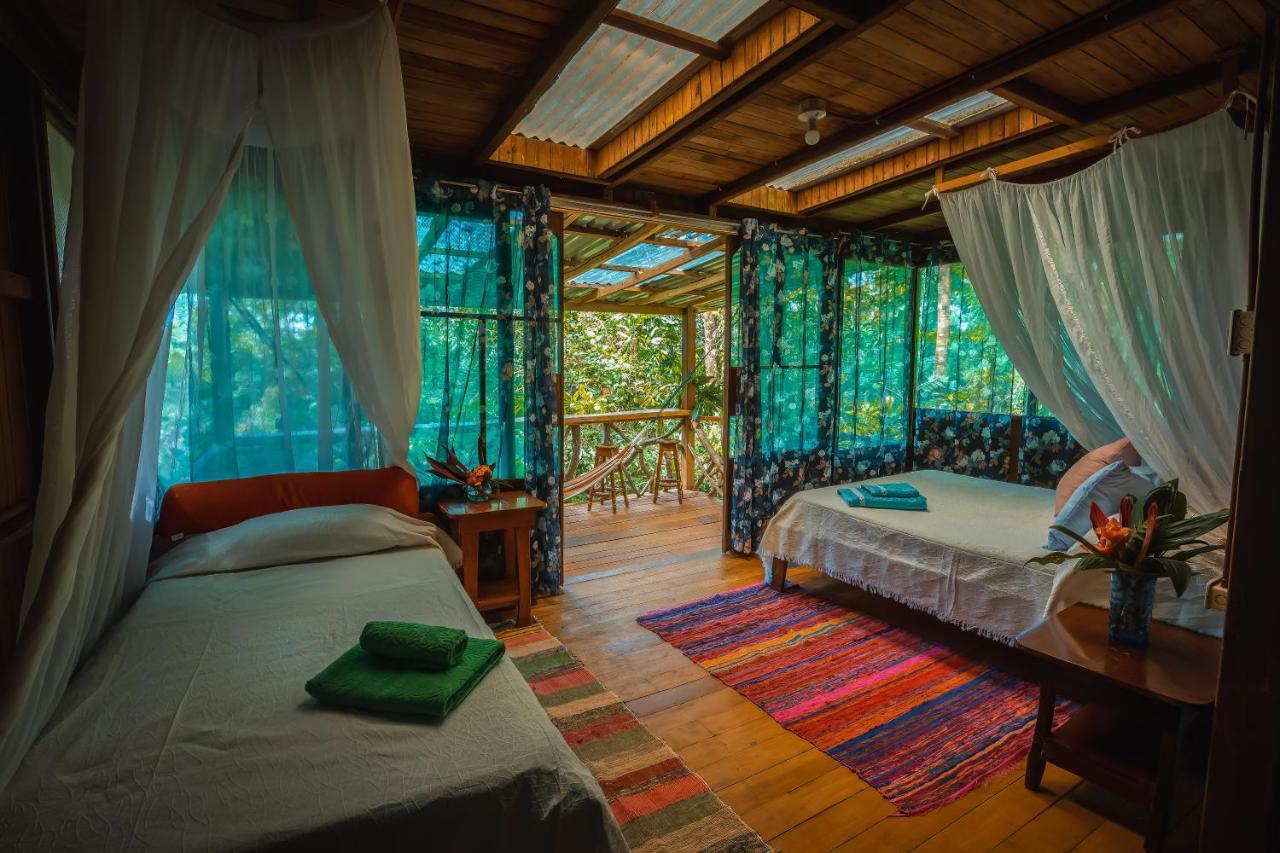 Ocean Forest Ecolodge San Pedrillo 외부 사진
