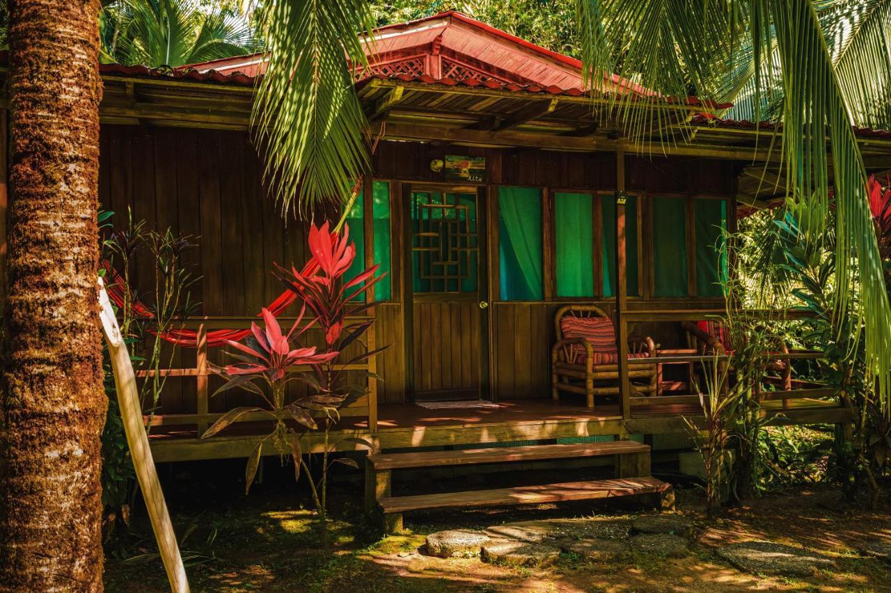Ocean Forest Ecolodge San Pedrillo 외부 사진