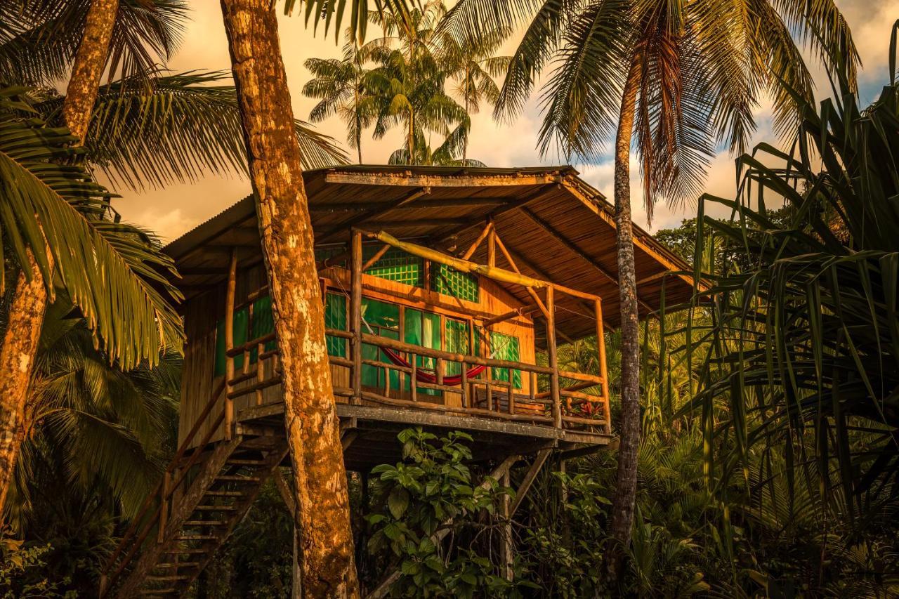 Ocean Forest Ecolodge San Pedrillo 외부 사진