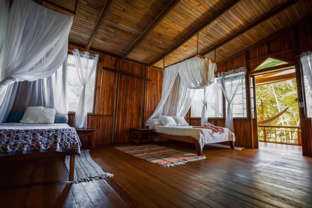 Ocean Forest Ecolodge San Pedrillo 외부 사진