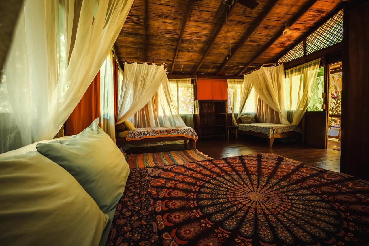 Ocean Forest Ecolodge San Pedrillo 외부 사진