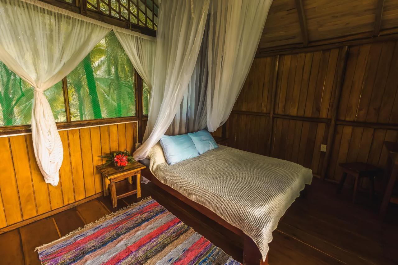 Ocean Forest Ecolodge San Pedrillo 외부 사진