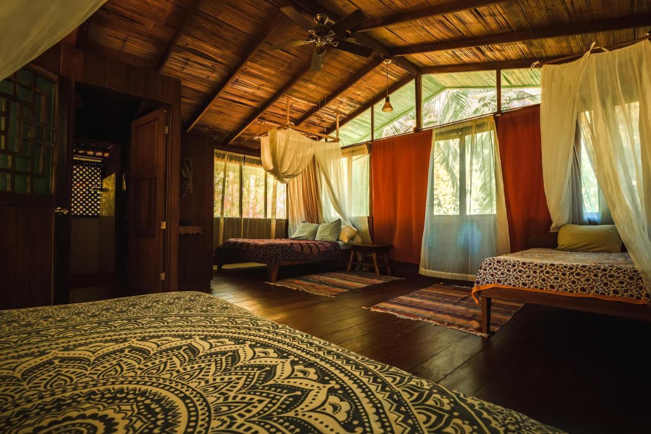 Ocean Forest Ecolodge San Pedrillo 외부 사진