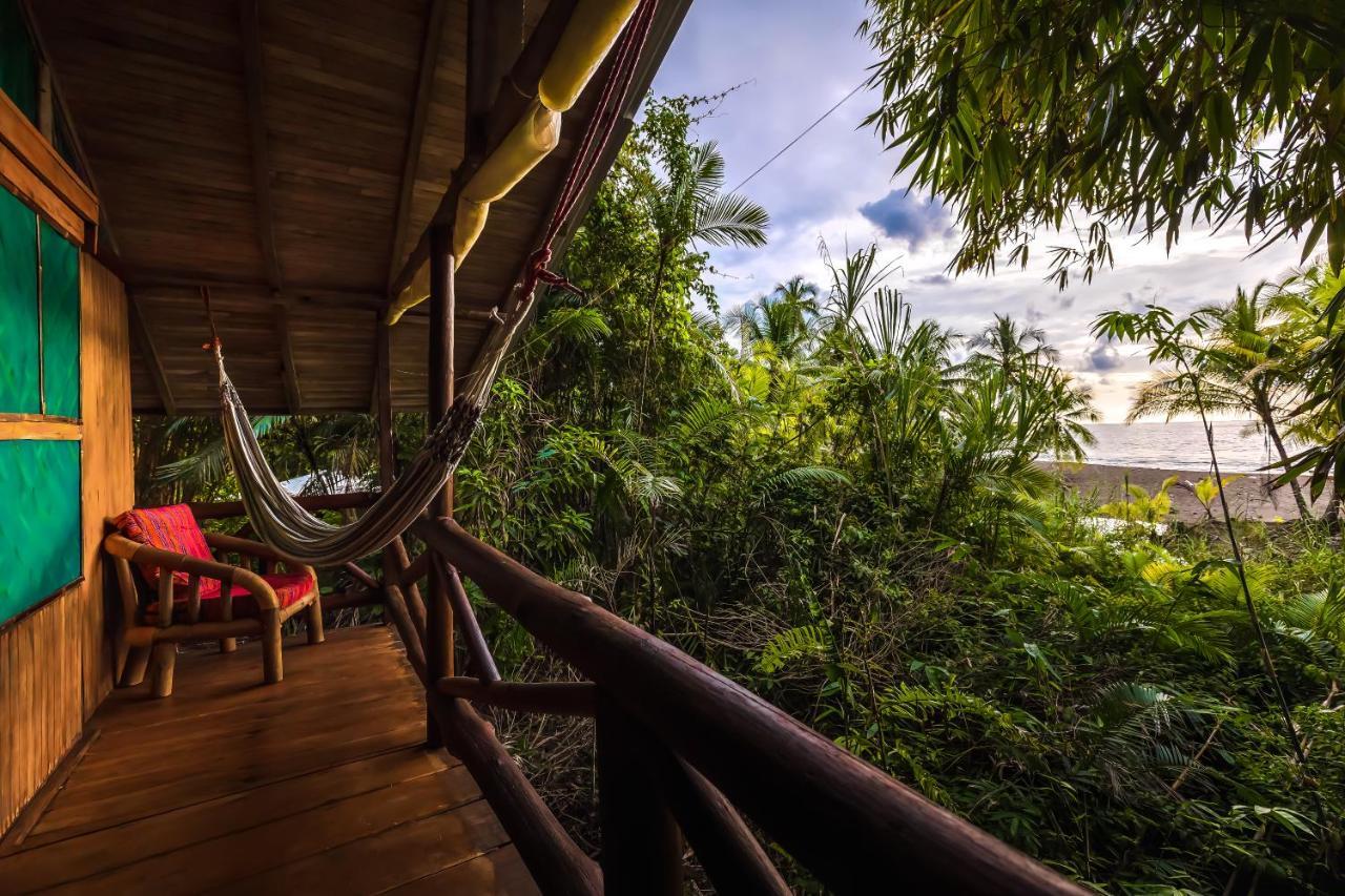 Ocean Forest Ecolodge San Pedrillo 외부 사진