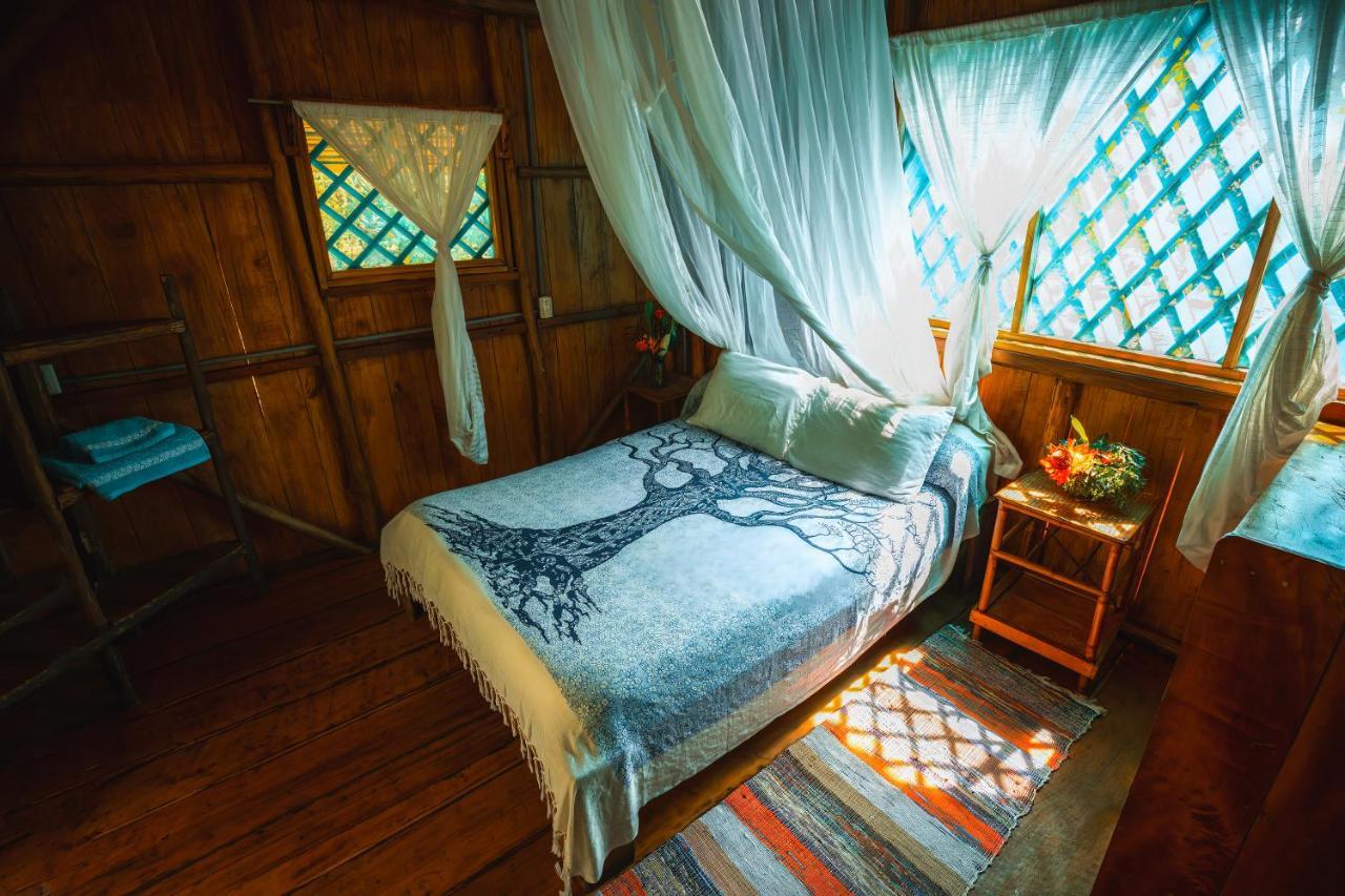 Ocean Forest Ecolodge San Pedrillo 외부 사진