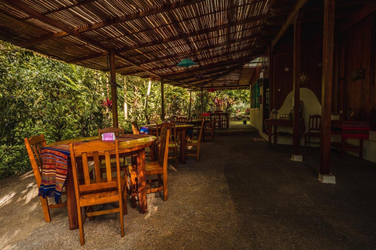 Ocean Forest Ecolodge San Pedrillo 외부 사진
