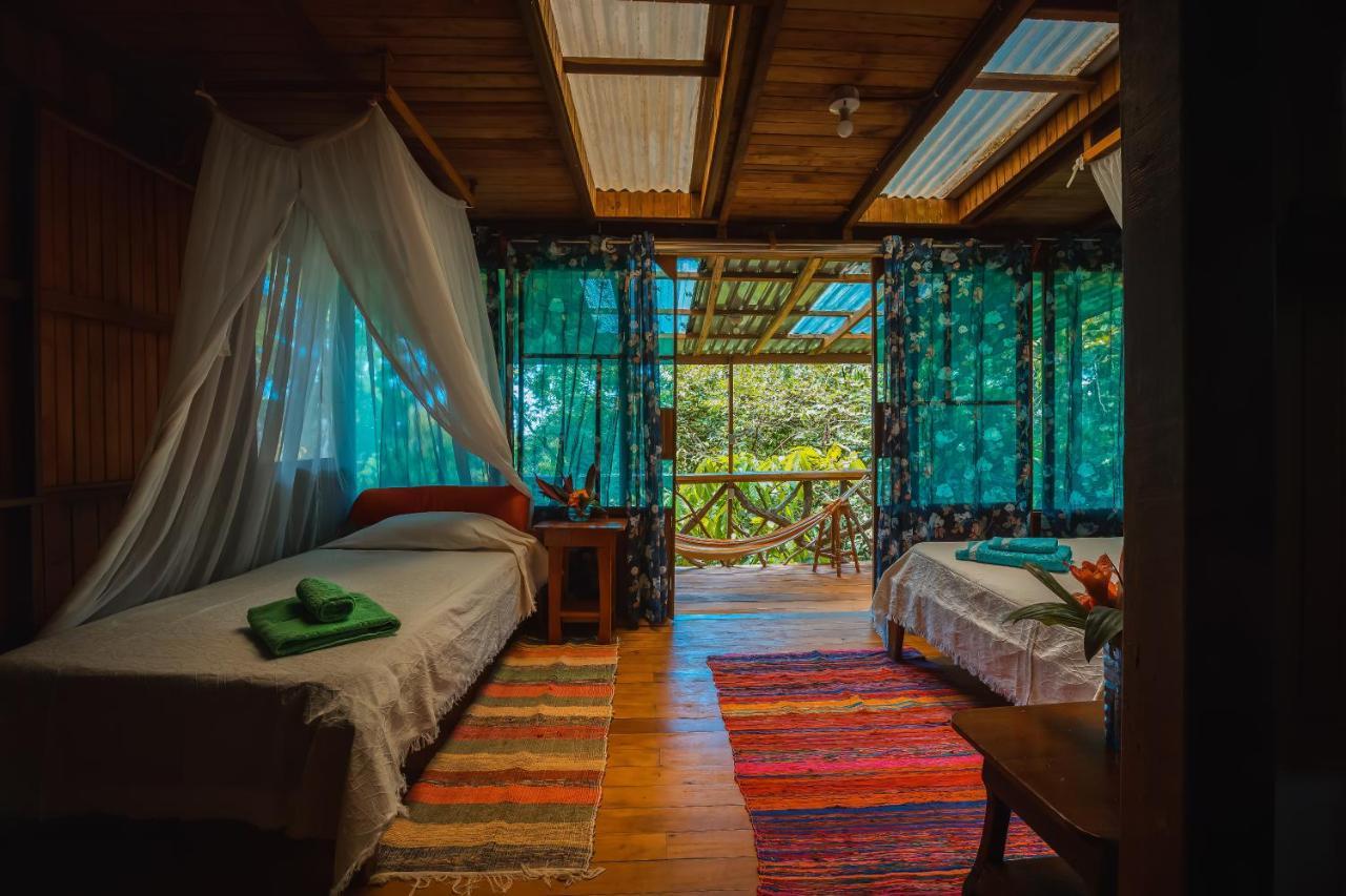 Ocean Forest Ecolodge San Pedrillo 외부 사진