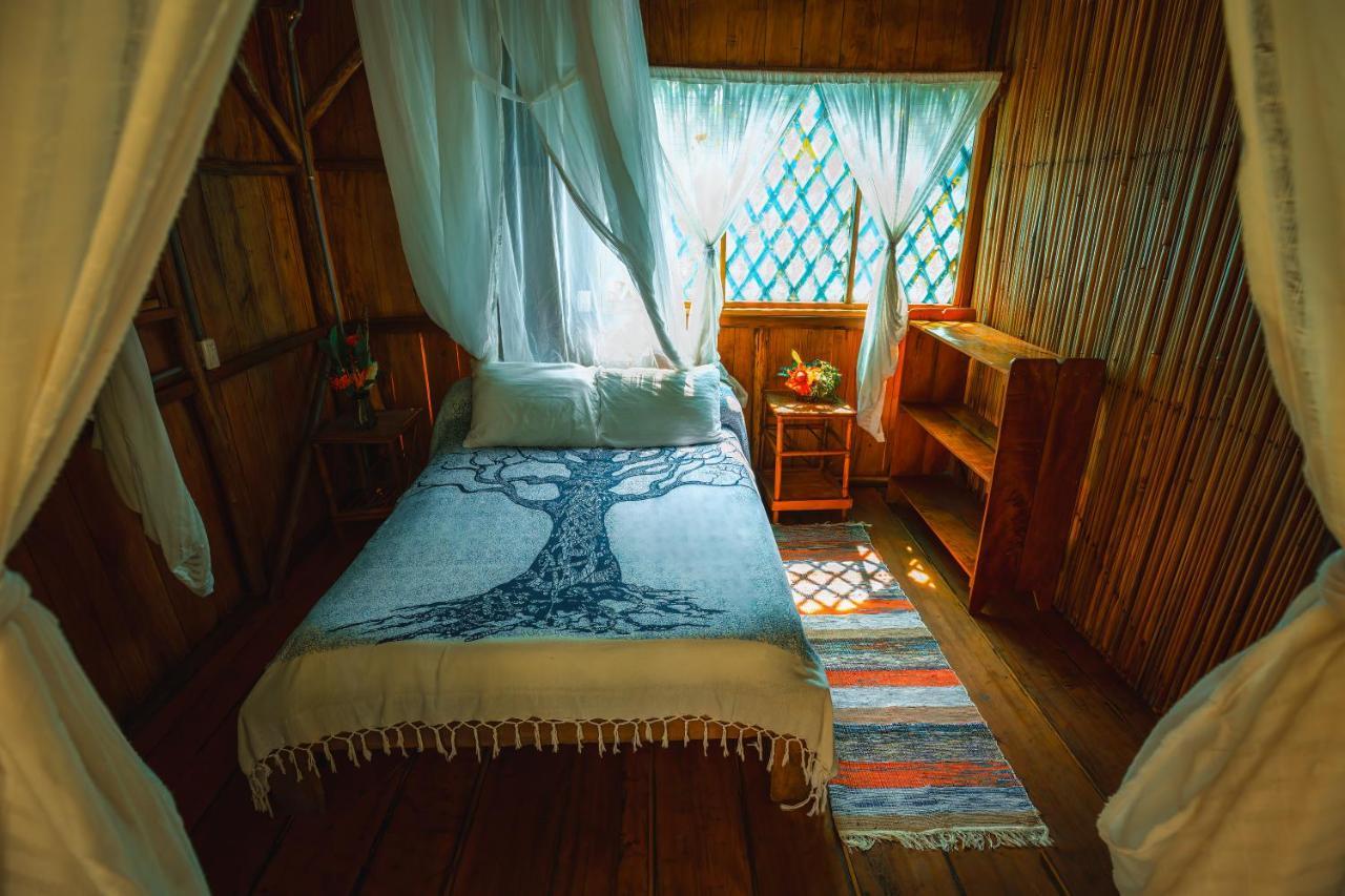 Ocean Forest Ecolodge San Pedrillo 외부 사진