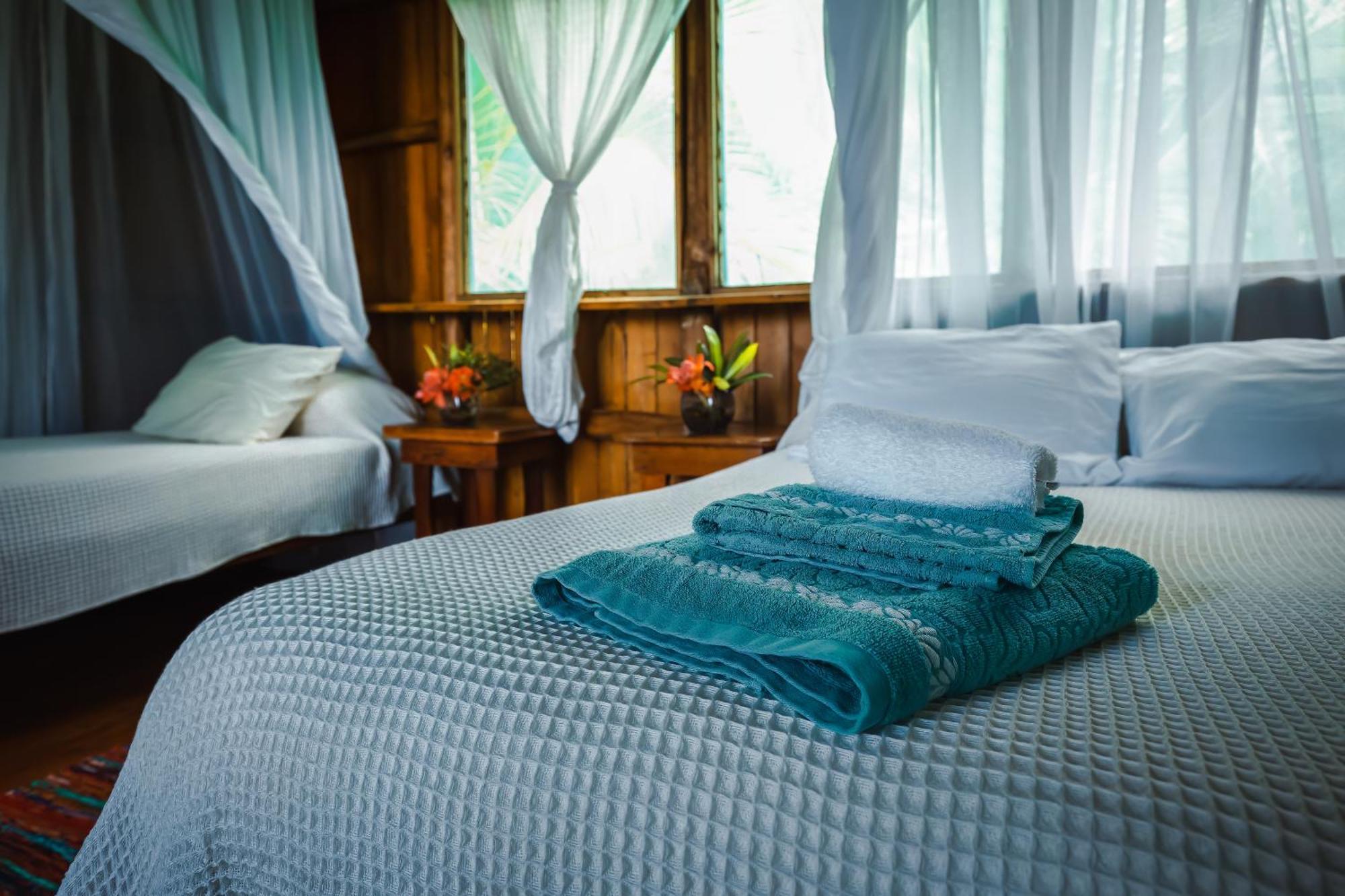 Ocean Forest Ecolodge San Pedrillo 외부 사진