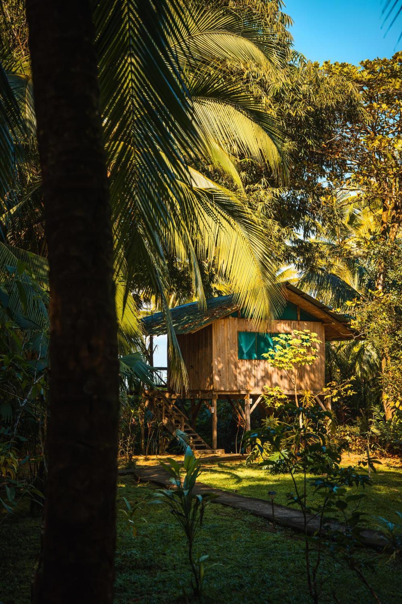 Ocean Forest Ecolodge San Pedrillo 외부 사진