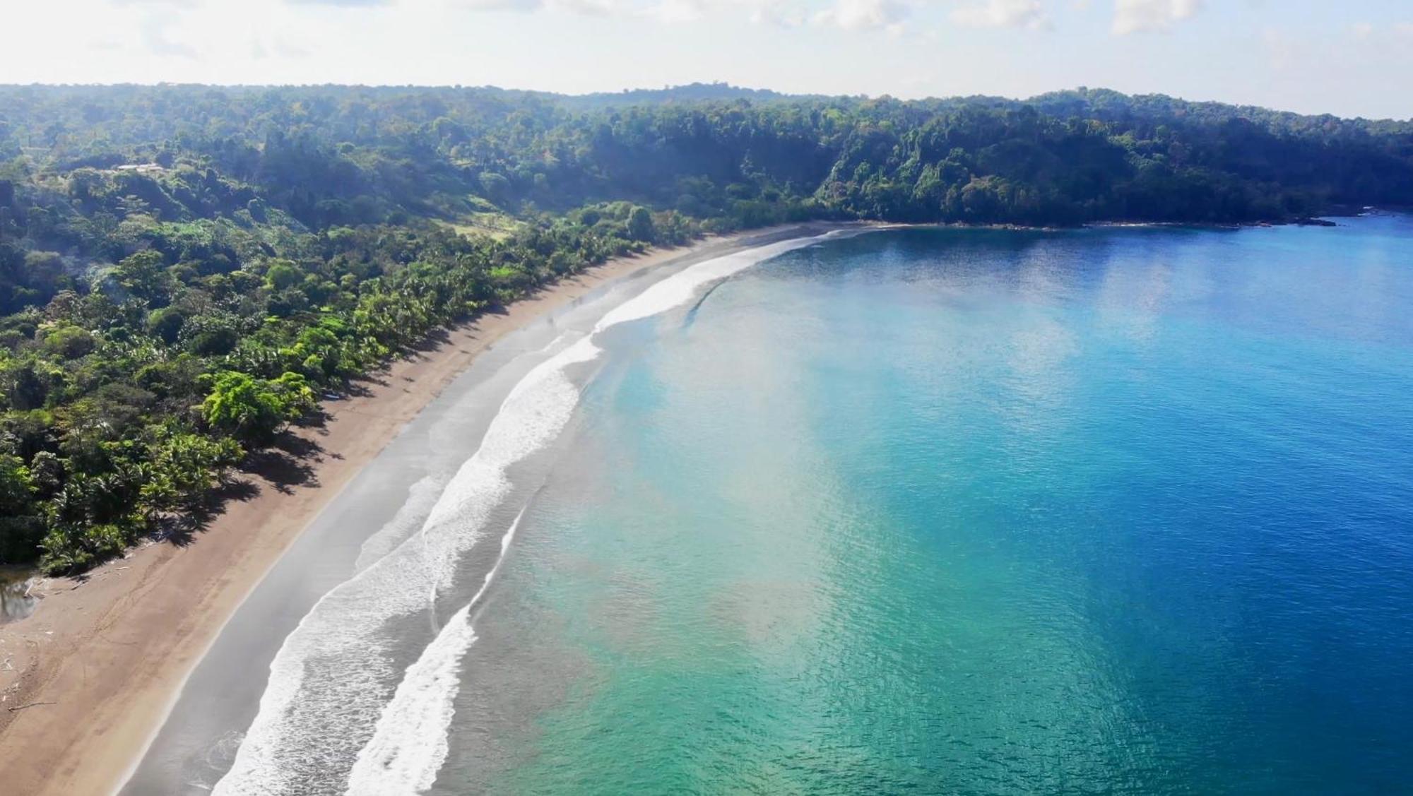 Ocean Forest Ecolodge San Pedrillo 외부 사진