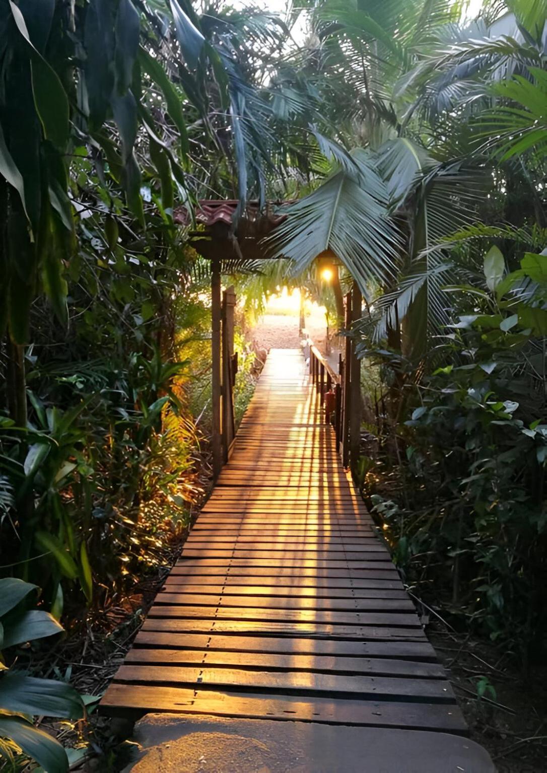 Ocean Forest Ecolodge San Pedrillo 외부 사진