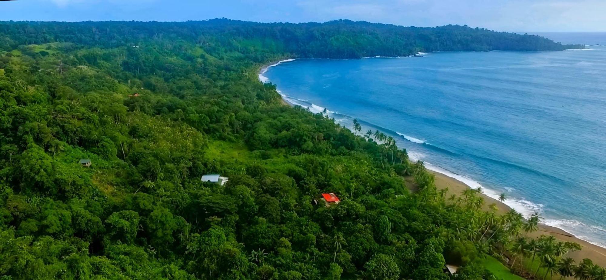 Ocean Forest Ecolodge San Pedrillo 외부 사진