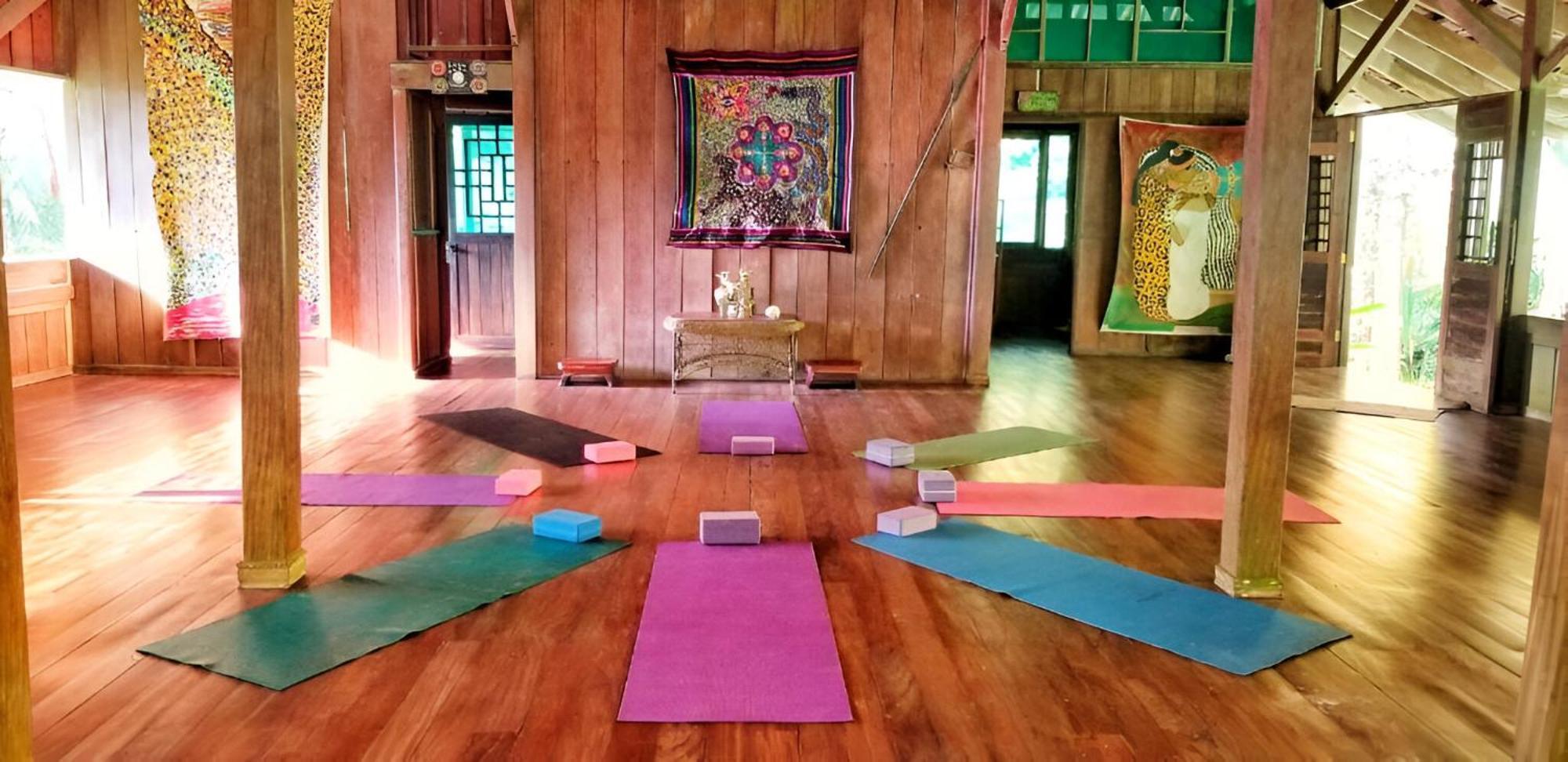 Ocean Forest Ecolodge San Pedrillo 외부 사진
