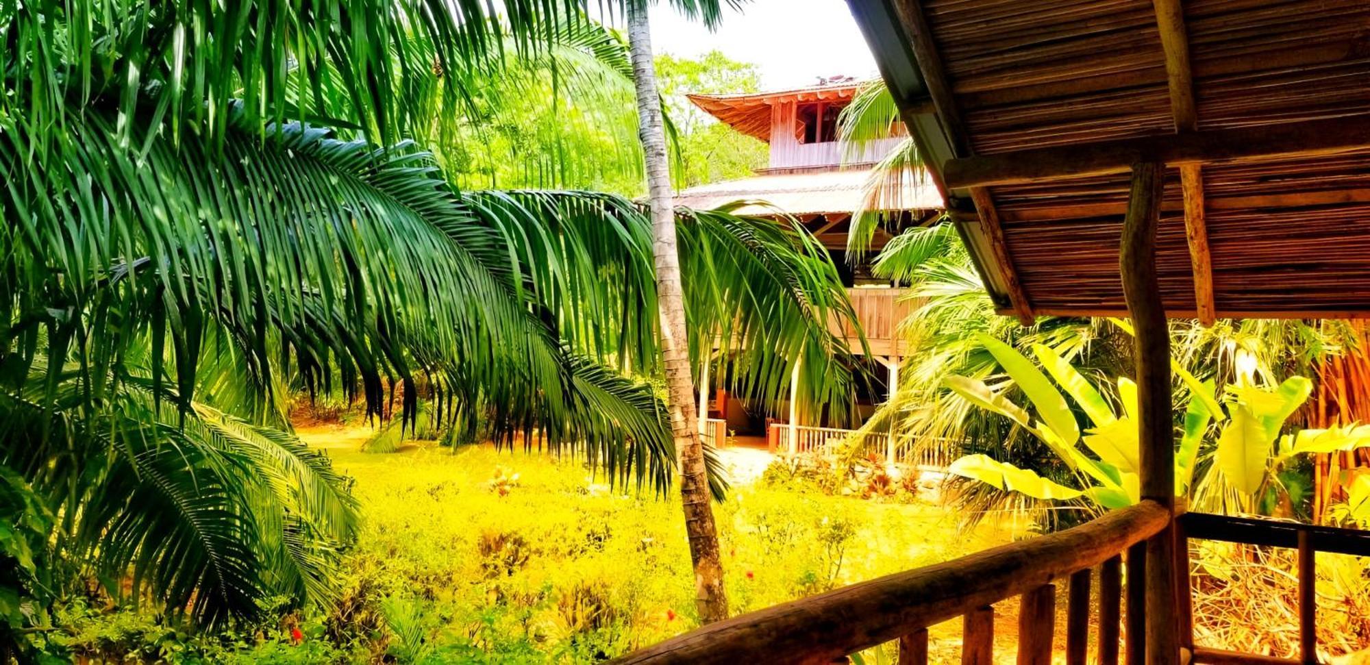 Ocean Forest Ecolodge San Pedrillo 외부 사진