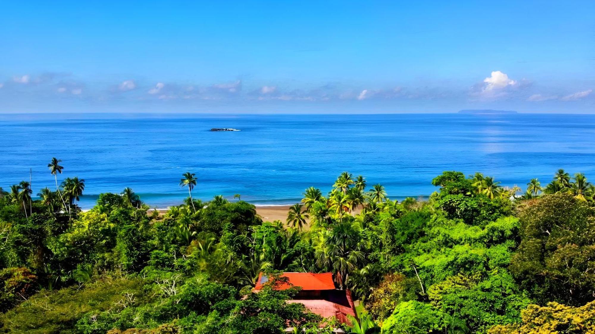 Ocean Forest Ecolodge San Pedrillo 외부 사진
