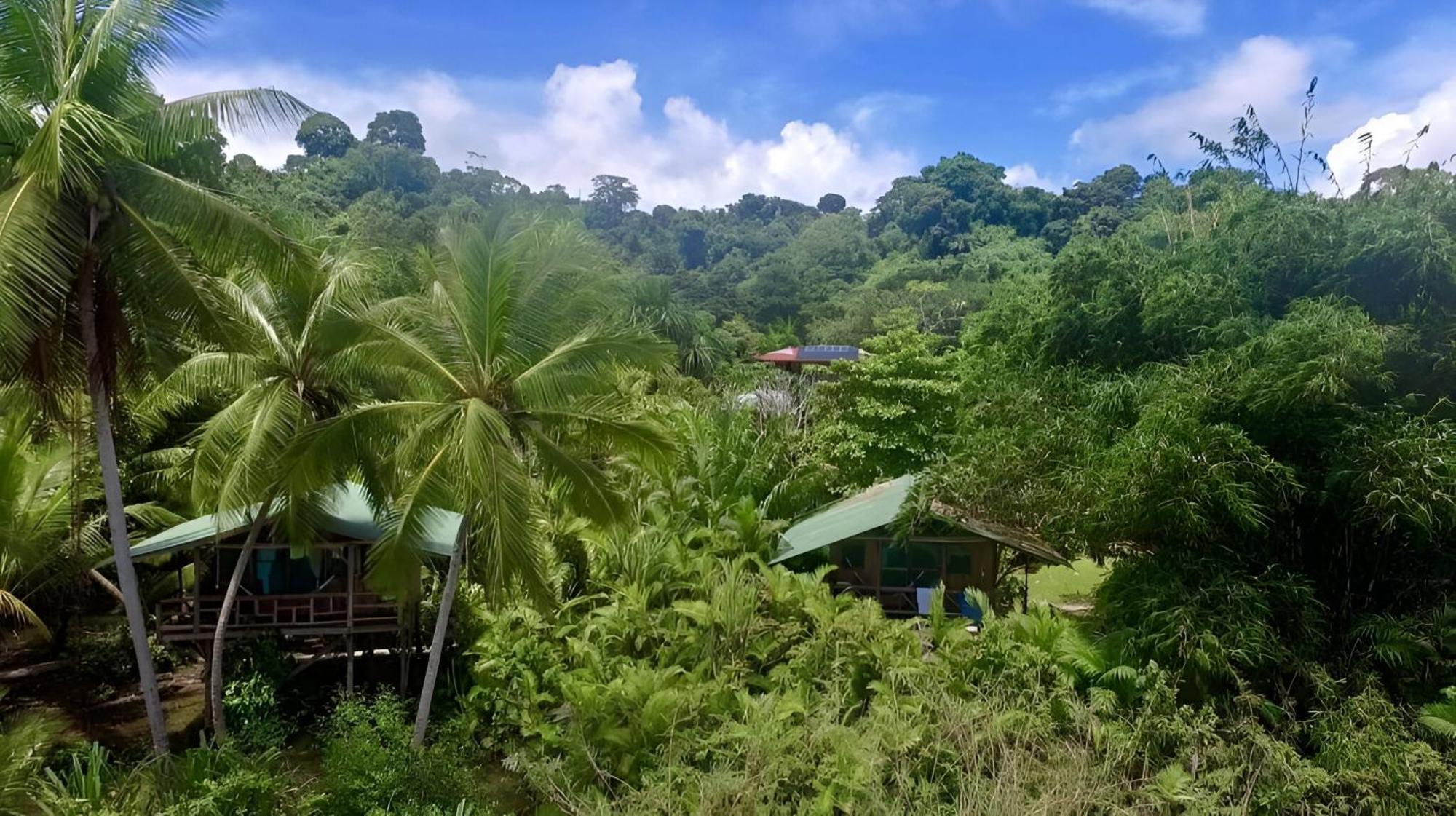 Ocean Forest Ecolodge San Pedrillo 외부 사진