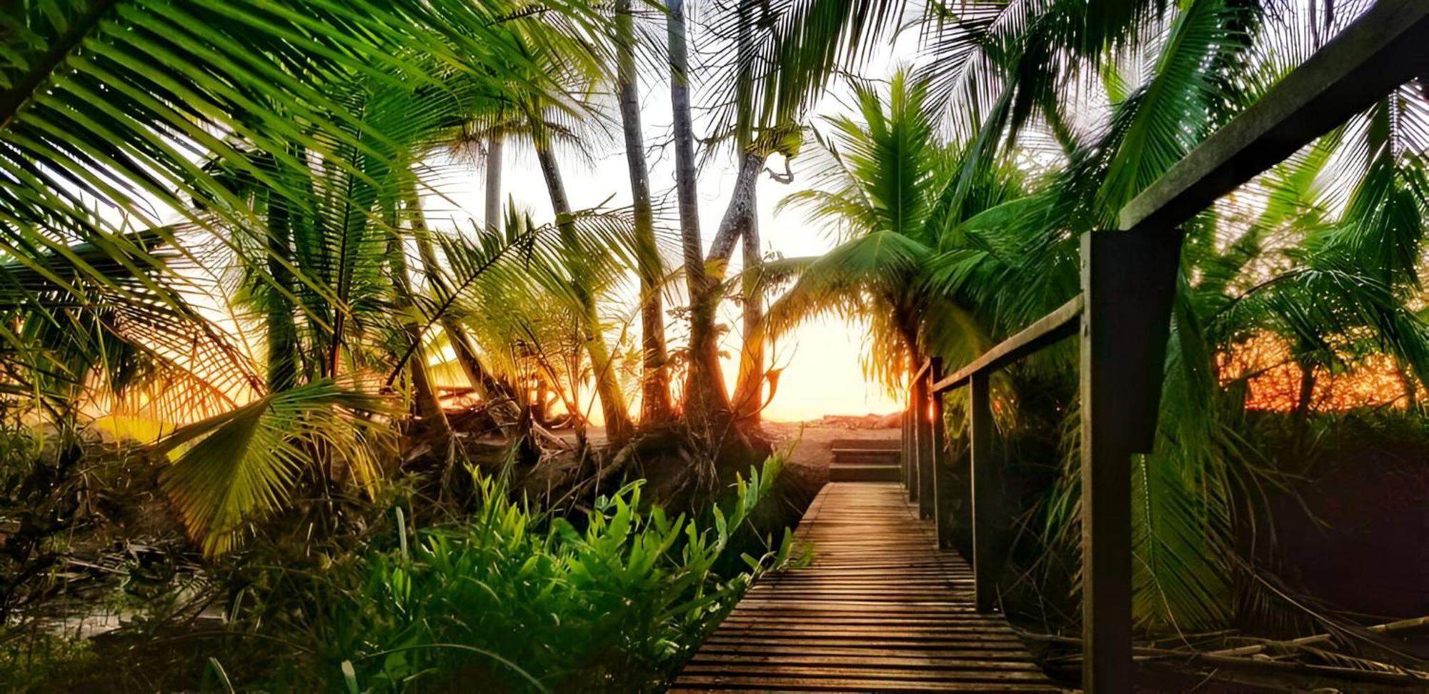 Ocean Forest Ecolodge San Pedrillo 외부 사진