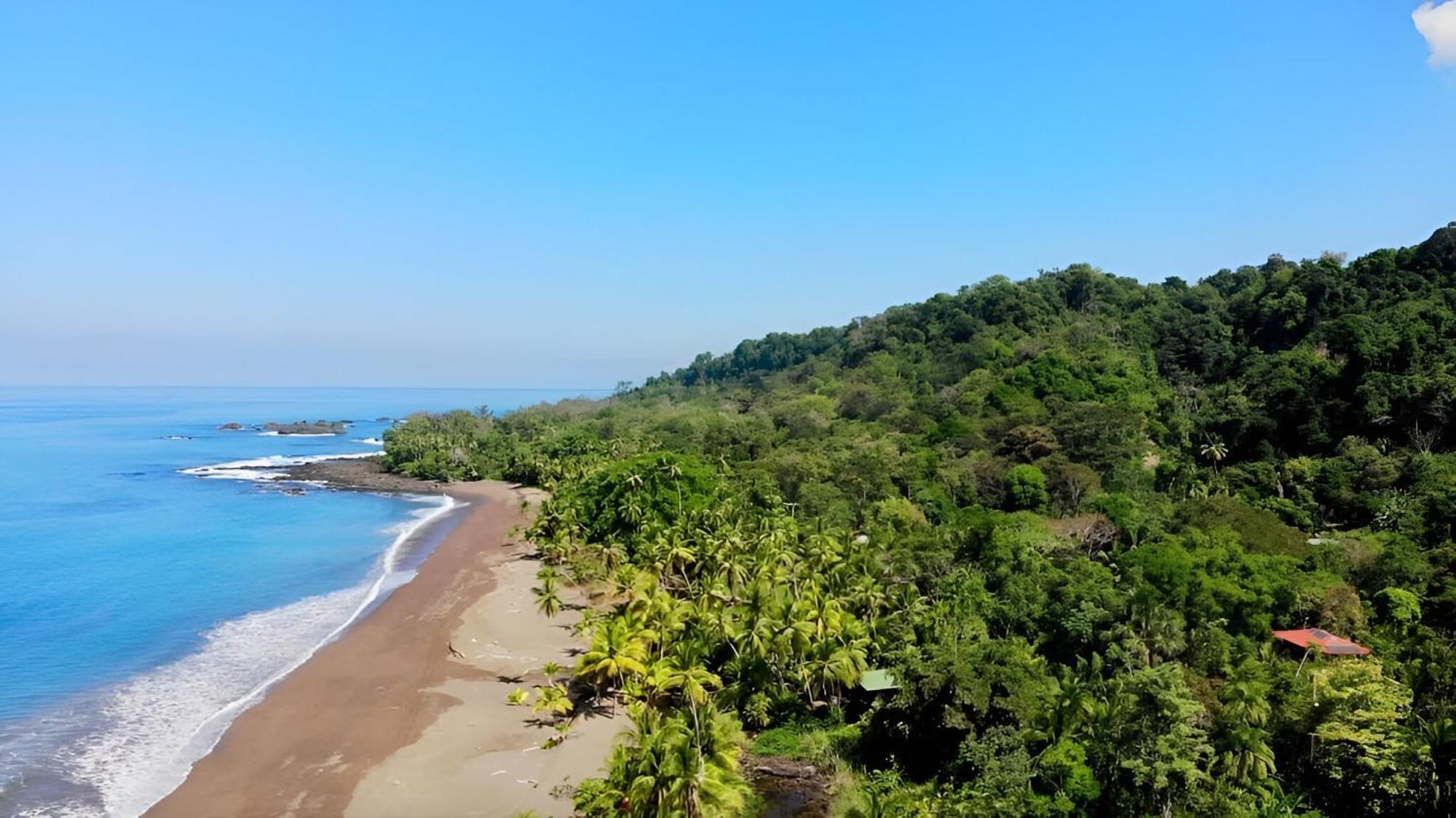 Ocean Forest Ecolodge San Pedrillo 외부 사진