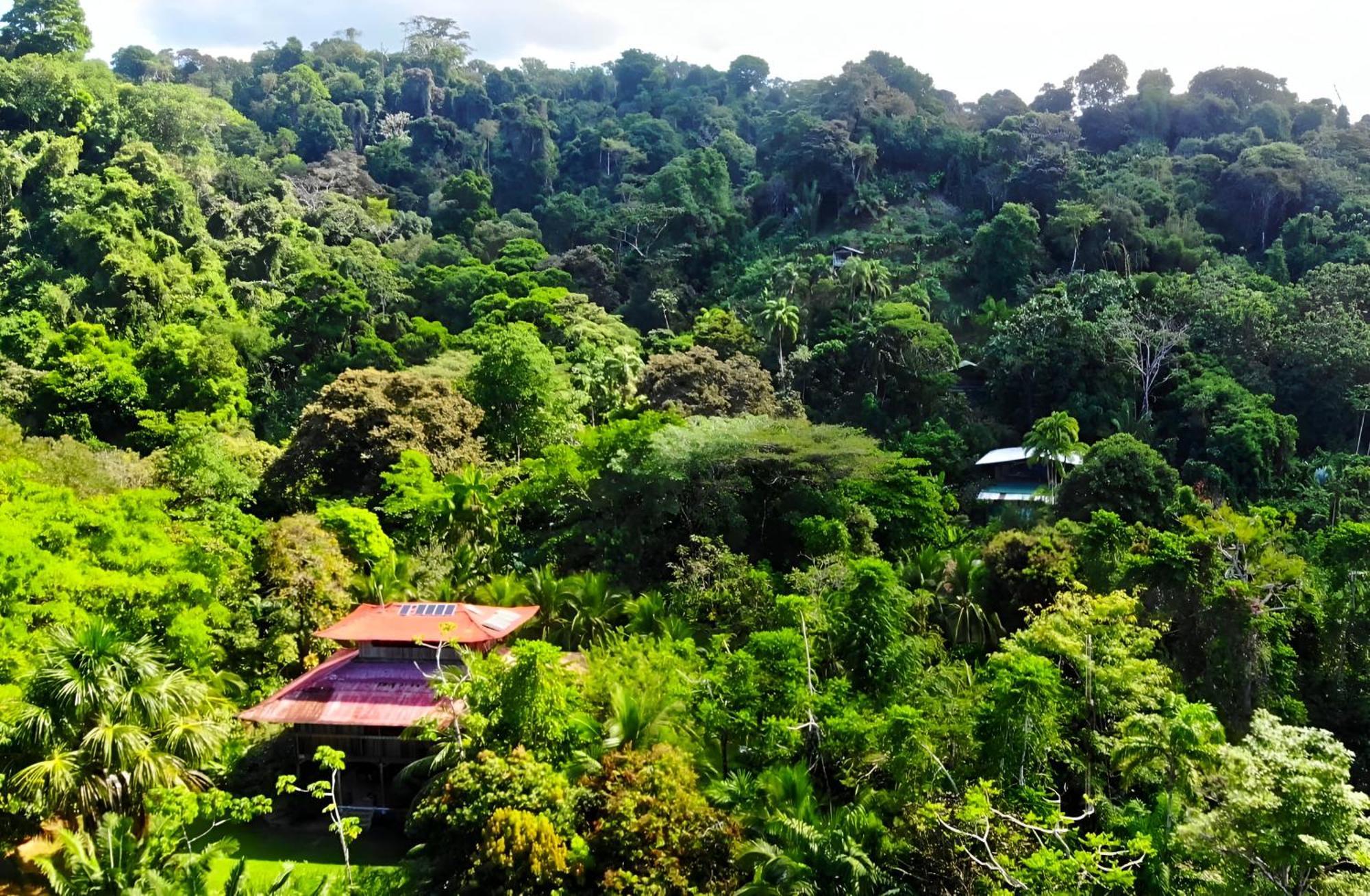 Ocean Forest Ecolodge San Pedrillo 외부 사진